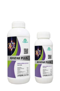AVATAR PLUS