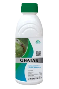 GHATAK