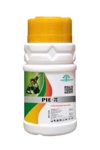 PIE