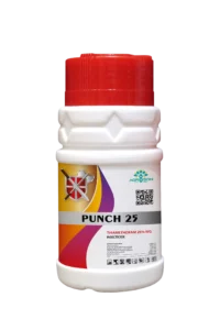 PUNCH 25